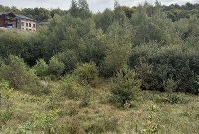 Teren 971 MP, intrare Salicea cu autorizatie , Casa Individuala - 4