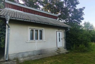 Casa individuala, 3500mp teren, zona Negostina, Siret - 10