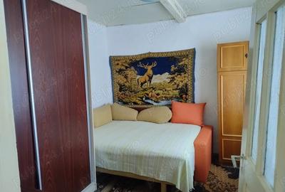 Vand casa batraneasca - 3