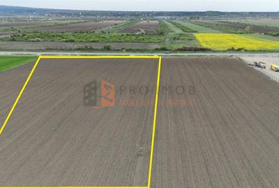 Teren Construcții intravilan de 12628 mp, în Vernești - 1