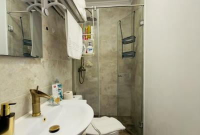 Casa individuala 4 camere, mobilata modern, teren 404mp in Utvin - 13