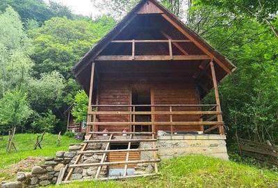 Cabana Bradulet s-a VANDUT - 9