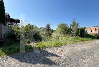 Teren intravilan 1.000 mp de vanzare Talmaciu - 1