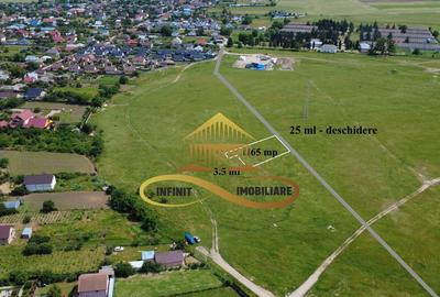 Teren intravilan | Ideal pentru 2 case | Lilieci - de van... - 3