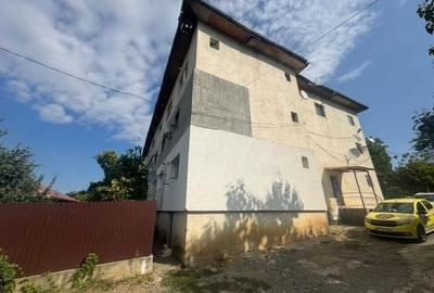 Apartament cu 2 camere semidecomandat în Vișan - 13
