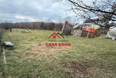 Casă cu Teren 2080 Mp în Brebu - 1