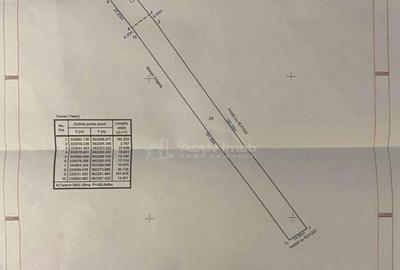 Casa Teren - Ulmi - jud.Giurgiu - 4