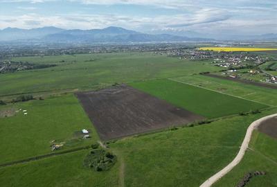 Teren de 8600 mp, în Stupini - 2