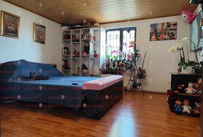 Casa P+1 400 mp teren Godeanu Carrefour Colosseum Casa P+1 400 mp teren Godeanu Carrefour Colosseum - 18