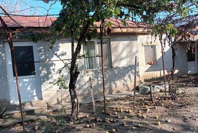 Casă cu 2 camere cu Teren 1782 Mp în Bulbucata - 3