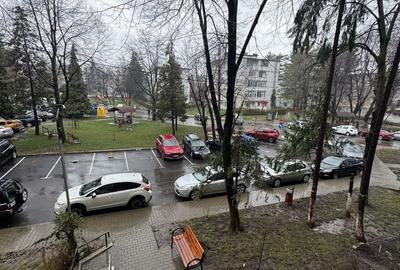 Apartament cu 3 camere decomandat în Central - 3