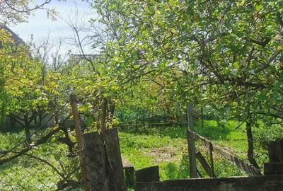 Casă cu 2 camere în Sebiș - 1