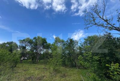 Teren extravilan de vanzare, 6000 mp, zona Hateg - 2