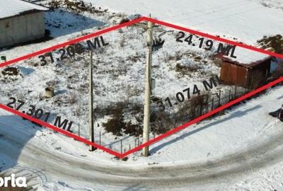 Teren de 800 mp, în Păulești - 7