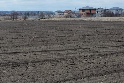 Teren intravilan -Ostratu- - 5