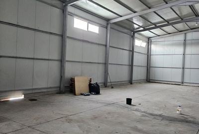 Spațiu industrial, de 540 mp, în Afumați - 8