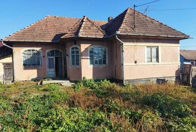 Casă cu 4 camere cu Teren 20024 Mp în Suplac - 2