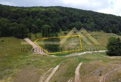 Teren Intravilan | Poiana Brasov | 5.000mp | Necesar PUZ - 2