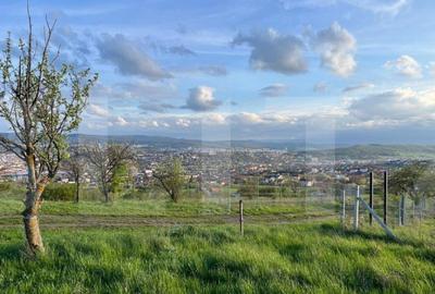 Teren extravilan, 1354 mp, Colonia Breaza - 3