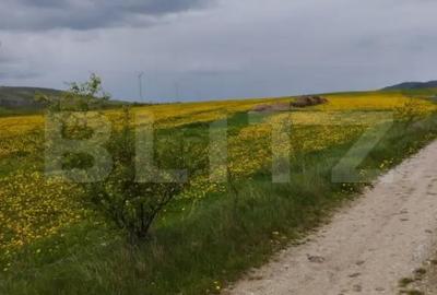 Teren de 3621 mp, în Petrești - 5