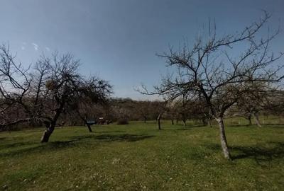 Teren de 6800 mp, în Șișești