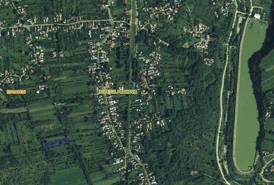 Teren de 2890 mp, în Homorâciu - 4