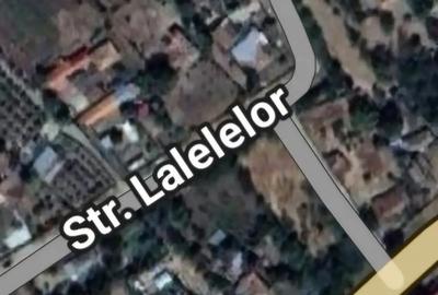 Casă cu 6 camere cu Teren 3555 Mp în Ileana - 6