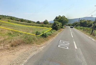 Teren Intravilan langa Dunare! Disponibil la 15 Euro mp Teren Intravilan langa Dunare! Disponibil la 15 Euro mp - 5