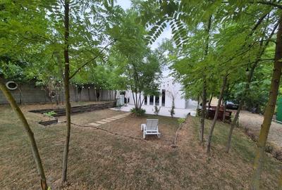 Casa de vacanta / spatiu comercial de vanzare – Frumusani - 12