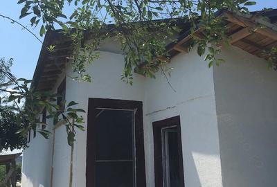 Spațiu comercial, de 300 mp, în Brăniștari - 5