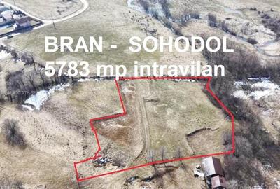 Teren Construcții intravilan de 5783 mp, în Bran - 1