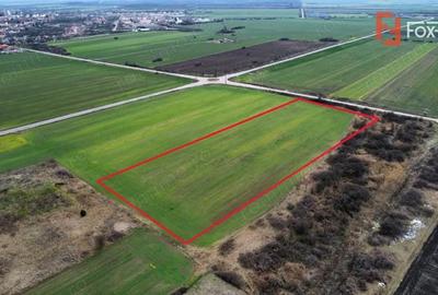 Teren de 25000 mp, în Est - 5