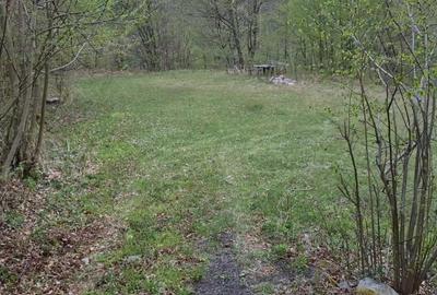 Teren Construcții extravilan de 1297 mp, în Isverna - 4