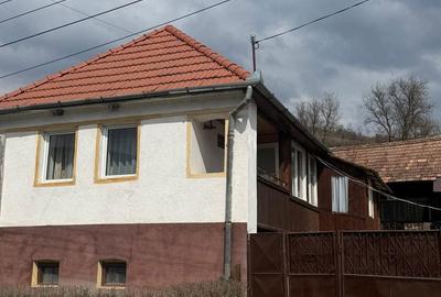 Casă cu 3 camere în Vețca - 8