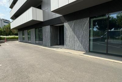 Spatiu Comercial | Stradal | 338 m2 | Trafic intens | Vitralii | - 11