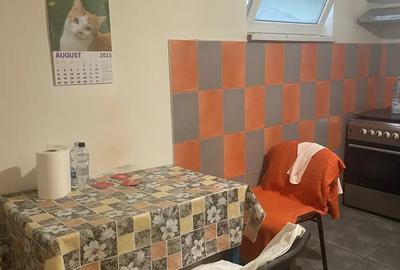 Brancoveanu Oraselul Copiilor Casa Muncitori - 18