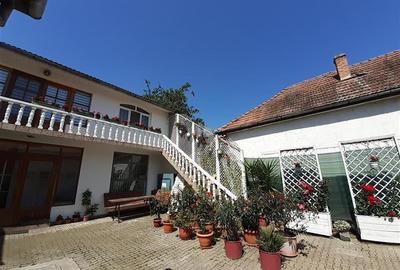 FILM& 3D!Proprietate duala distinctiva: showroom,birouri,locuinta,venit pasiv, i - 17