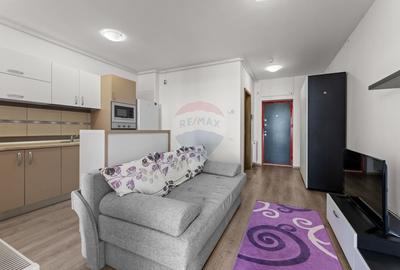 Apartament cu 2 camere de inchiriat in zona Micalaca - 7