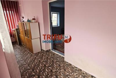 Casă cu 4 camere cu Teren 1284 Mp în Ighiu - 3