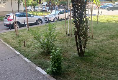 Pantelimon- Parcul Florilor, apartament 3 camere de vanzare - 14