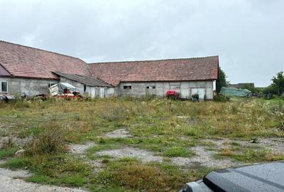 Spatiu industrial 5 camere zona Bradu - Sibiu - 2