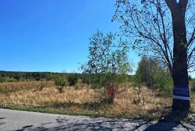 TEREN INTRAVILAN ?I EXTRAVILAN BAIA DE FIER - 6