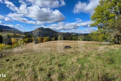 Spațiu comercial, în Șieu - 2