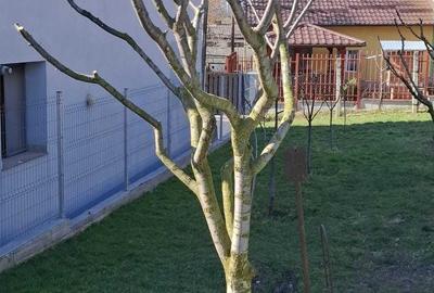 Casă cu 2 camere în Dâmbul Rotund - 5