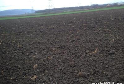 Teren de 4300 mp, în Movila Miresii - 1