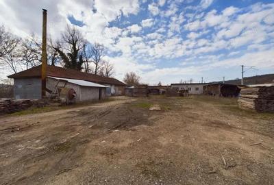 Spațiu comercial, de 1,280 mp, în Șoimoș - 12