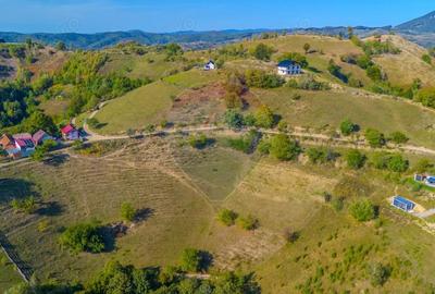 Teren extravilan 6,014mp | Holbav | BRASOV | COMISION 0| - 1