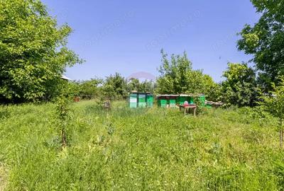 Proprietate versatila cu casa, doua hale ?i teren generos - 9