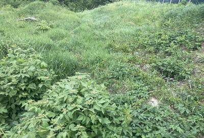 Breazu!600mp! Teren intravilan,toate utilitatile,spatii verzi!! - 3