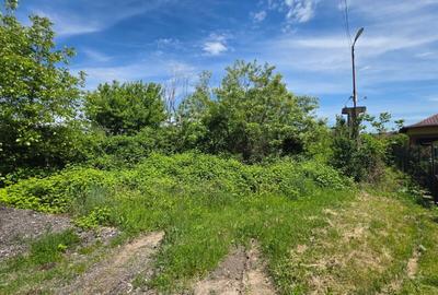 Teren agricol intravilan de 1500 mp, în Mărăcineni - 10
